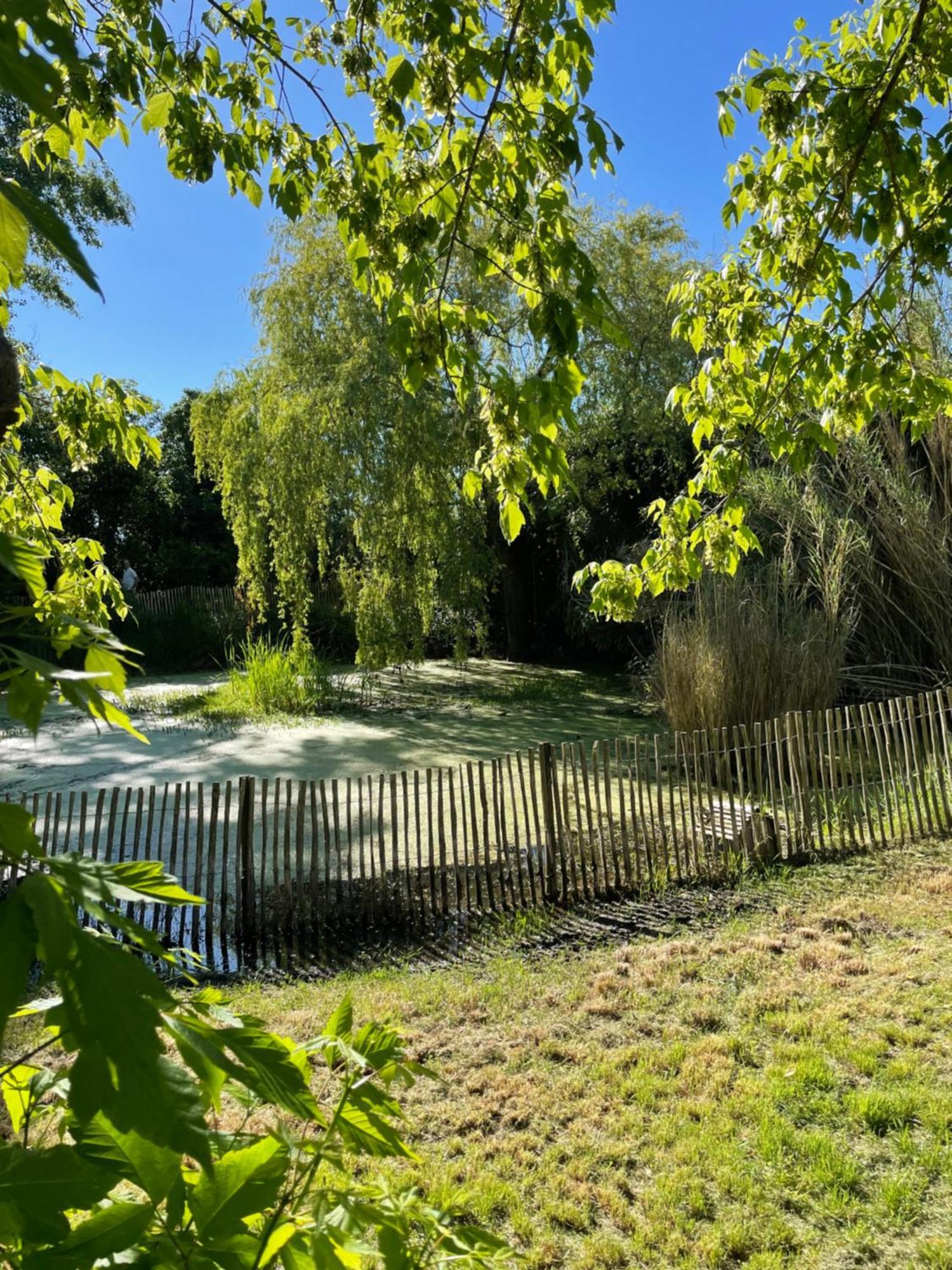 Saint-Vivien-de-MédocInstant Zen住宿加早餐旅馆 外观 照片